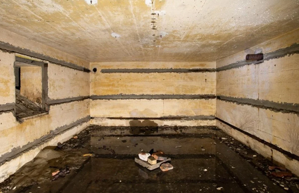 Активисты обнаружили три немецких бункера времен Второй мировой войны (фото)